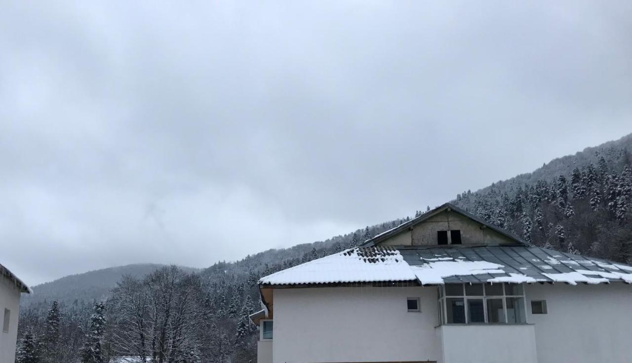 Cocooning In A Lovely Mountain Suite - One Azuga Bagian luar foto